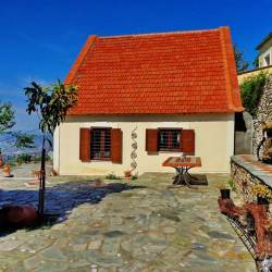 Front yard – orchard Front yard – orchard