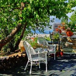 Front yard – orchard Front yard – orchard