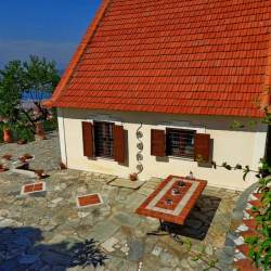 Front yard – orchard Front yard – orchard