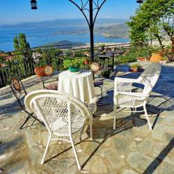 Front yard – orchard Front yard – orchard