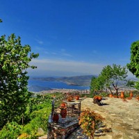 ΠΡΩΙΝΟ ΣΤΗΝ ΑΥΛΗ ΠΡΩΙΝΟ ΣΤΗΝ ΑΥΛΗ